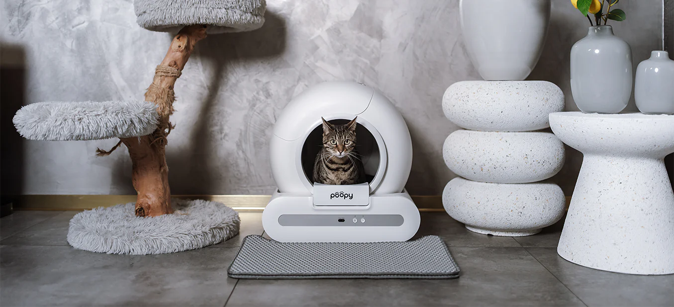 Nooit meer kattengrind sjouwen